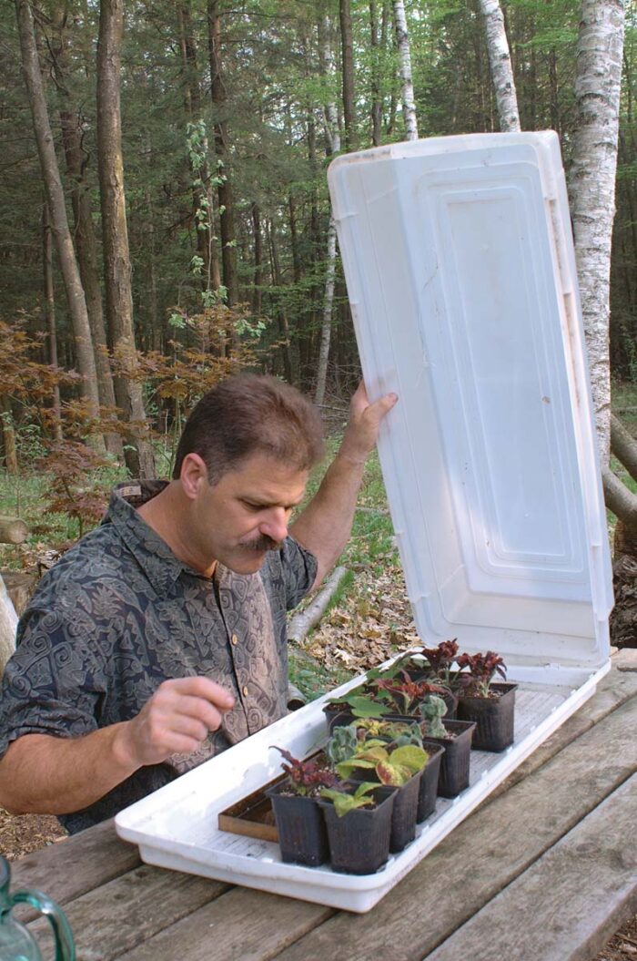 check your cuttings often