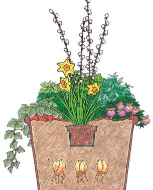 illustration of a container with spring plants and bulbs planted inside