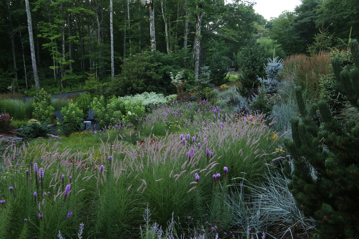 A sloped front yard garden, designed by Jay Sifford.