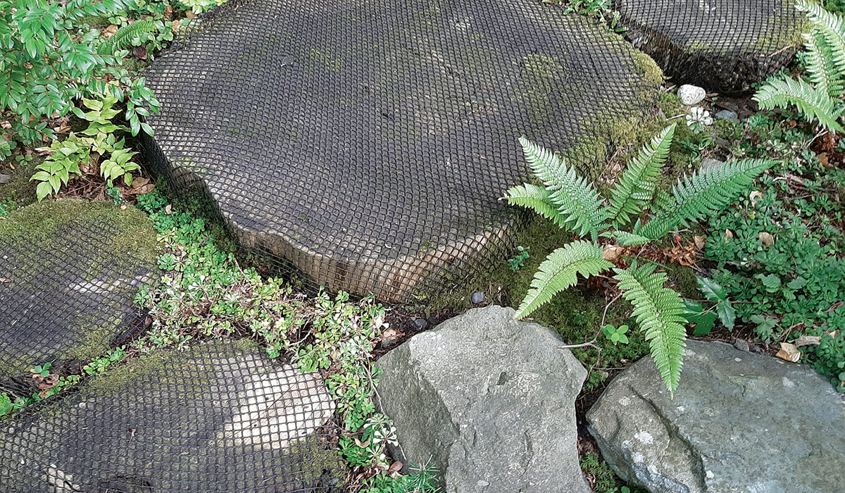 fish netting over cedar rounds steps