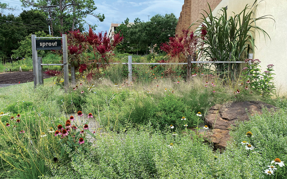 garden in new area that isn't prone to flooding