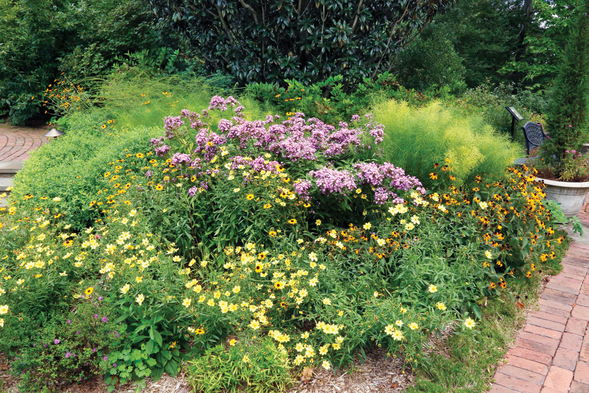 How to plan a succession of blooms in the garden